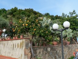 Dimanche 18 Stromboli