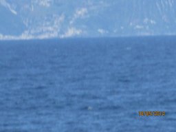 Dimanche 18 Stromboli