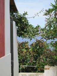 Dimanche 18 Stromboli