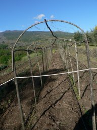 Jeudi 15 Taormina