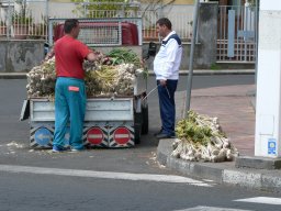 Jeudi 15 Taormina