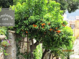 Jeudi 15 Taormina