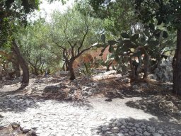 Jeudi 15 Taormina