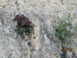 Jeudi 15 Taormina