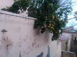 Jeudi 15 Taormina
