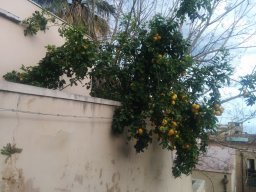 Jeudi 15 Taormina