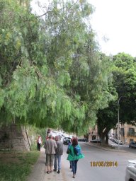 Lundi 19 Palerme