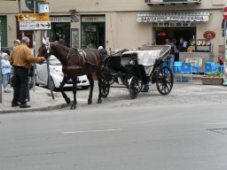 Lundi 19 Palerme