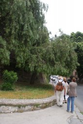 Lundi 19 Palerme