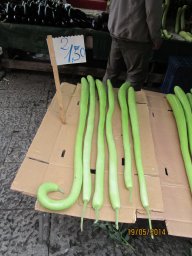 Lundi 19 Palerme