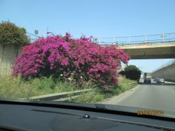 Mardi 20 Erice