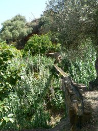 Mercredi 21 Agrigento
