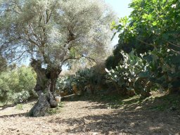 Mercredi 21 Agrigento