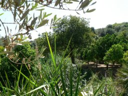 Mercredi 21 Agrigento