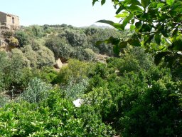 Mercredi 21 Agrigento