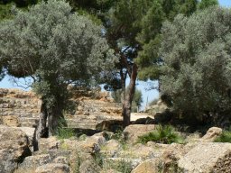Mercredi 21 Agrigento