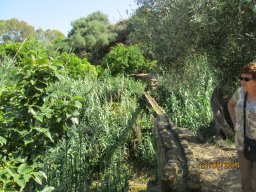 Mercredi 21 Agrigento