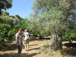 Mercredi 21 Agrigento