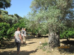 Mercredi 21 Agrigento
