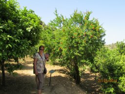 Mercredi 21 Agrigento