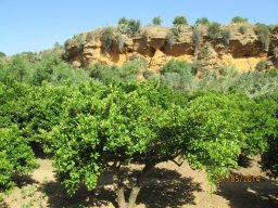 Mercredi 21 Agrigento