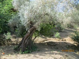 Mercredi 21 Agrigento