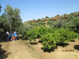 Mercredi 21 Agrigento