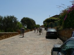 Mercredi 21 Agrigento
