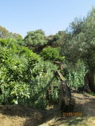 Mercredi 21 Agrigento