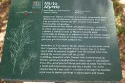 Mercredi 21 Agrigento