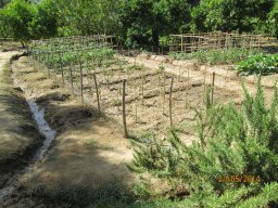 Mercredi 21 Agrigento
