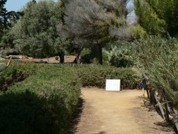 Mercredi 21 Agrigento