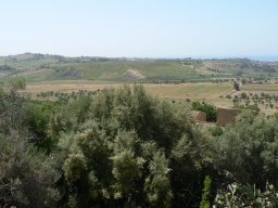 Mercredi 21 Agrigento