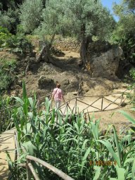 Mercredi 21 Agrigento