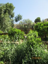 Mercredi 21 Agrigento