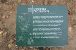 Mercredi 21 Agrigento