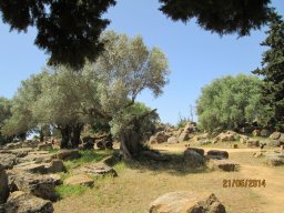 Mercredi 21 Agrigento