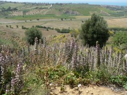 Mercredi 21 Agrigento