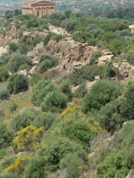 Mercredi 21 Agrigento