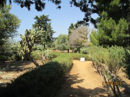 Mercredi 21 Agrigento