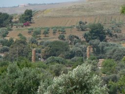 Mercredi 21 Agrigento