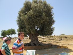 Mercredi 21 Agrigento