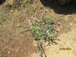 Mercredi 21 Agrigento
