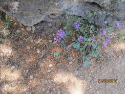Mercredi 21 Agrigento