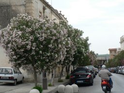 Samedi 24 Noto