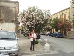 Samedi 24 Noto