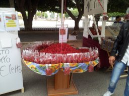 Samedi 24 Noto