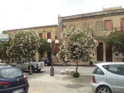 Samedi 24 Noto