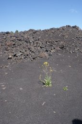 Vendredi 16 l'Etna