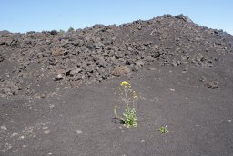 Vendredi 16 l'Etna
